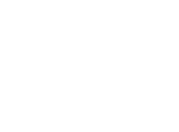 Electric Gate icon