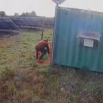 CCTV footage of an intruder at a solar farm solar security